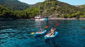 Motor sailer (ID=14209) - фото 13