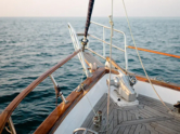 Sail boat (ID=14236) - фото 11