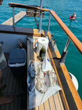 Sail boat (ID=14236) - фото 18