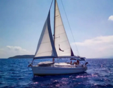 Bavaria 33 (ID=14378) - фото 4