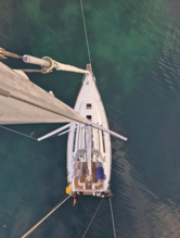 Oceanis 37 (ID=14452) - фото 19