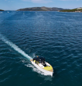 Tesoro T40 (ID=14543) - фото 17