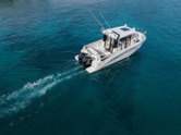 Barracuda 8 (ID=14702) - фото 15