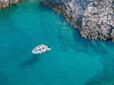 Barracuda 8 (ID=14702) - фото 11