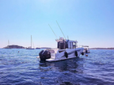 Barracuda 8 (ID=14702) - фото 25