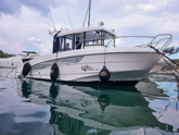 Barracuda 8 (ID=14702) - фото 19