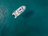 Barracuda 8 (ID=14702) - фото 6