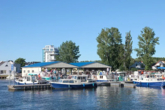 Tjonger (ID=14837) - фото 8