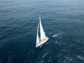 Hanse 630e (ID=15207) - фото 8
