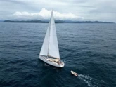 Hanse 630e (ID=15207) - фото 6