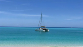 Saba 50 (ID=15428) - фото 12