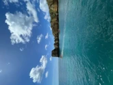 New 44 (ID=15975) - фото 4