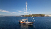 Custom built 183 (ID=15996) - фото 4