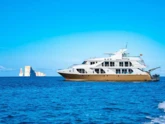 Power Catamaran (ID=16283) - фото 4