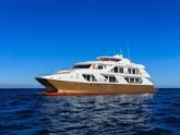 Power Catamaran (ID=16283)