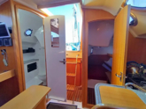 Maxus 28 Standard (ID=16308) - фото 11