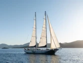 Custom built 183 (ID=16318)