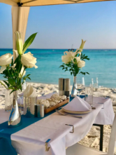 Luxury Motor Yacht (ID=16392) - фото 6