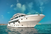 Luxury Motor Yacht (ID=16407) - фото 4