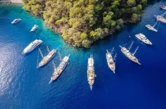 Motoryacht (ID=16648) - фото 17