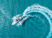 Sunseeker Hawk 34 (ID=16808) - фото 15