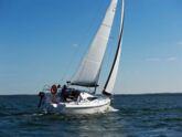 Maxus 28 Standard (ID=17) - фото 5