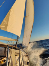 Bavaria 38 (ID=17146) - фото 5