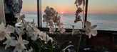 Motoryacht (ID=17353) - фото 29