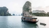 Motoryacht (ID=17353) - фото 13