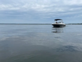 Bayliner E16 (ID=17369) - фото 7