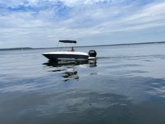 Bayliner E16 (ID=17369)