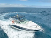 Motorboat (ID=17392)