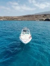 Motorboat (ID=17393) - фото 5