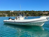 Motorboat (ID=17501)
