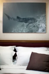 Motoryacht (ID=17584) - фото 18