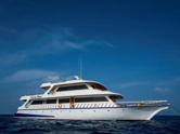 Motoryacht (ID=17585)