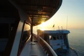 Motoryacht (ID=17806) - фото 8