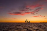 Luxury Sailing Yacht (ID=17893) - фото 16