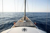 Motor sailer (ID=17966) - фото 5
