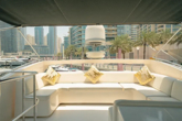 Luxury Motor Yacht (ID=18313) - фото 6