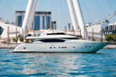 Luxury Motor Yacht (ID=18316) - фото 5