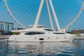 Luxury Motor Yacht (ID=18317)