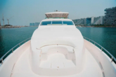 Luxury Motor Yacht (ID=18317) - фото 9