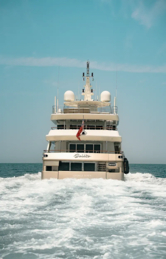 Luxury Motor Yacht (ID=18320) - фото 12