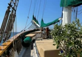 Motor sailer (ID=18405) - фото 4