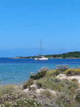 Lagoon 450 Fly (ID=2150) - фото 7