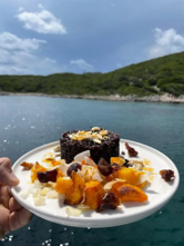 Saona 47 (ID=2232) - фото 26