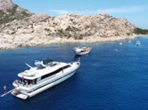 Falcon 76 (ID=2312)