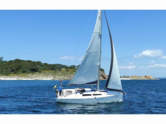 Hanse 315 (ID=2683)
