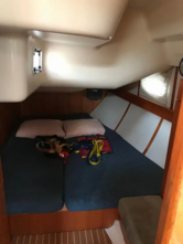 Elan Impression 434 (ID=2785) - фото 10